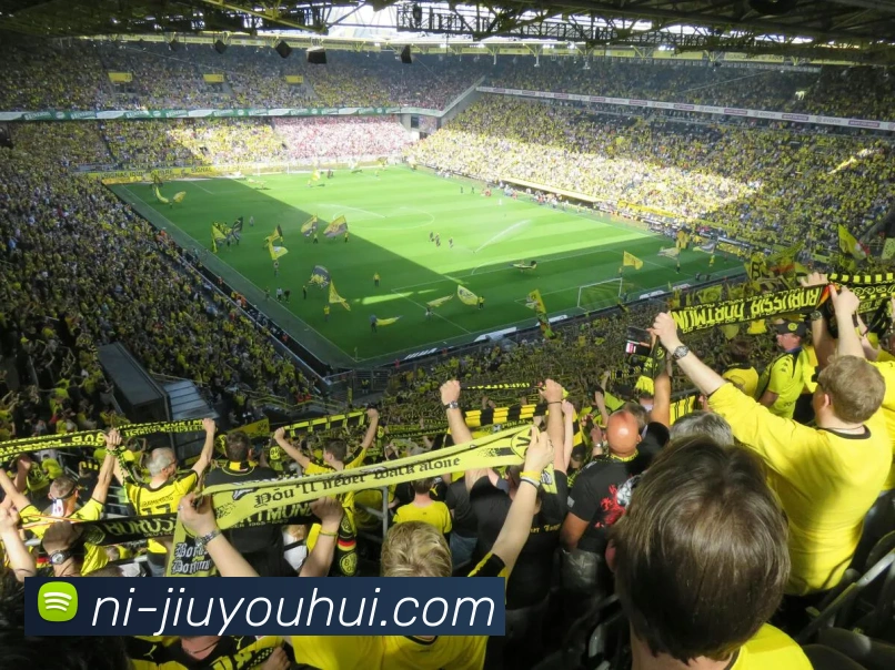 九游会J9官网APP 体育赛事宣传图